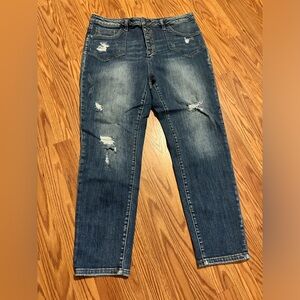 Risen Button Fly Skinny Jeans Sz 2X